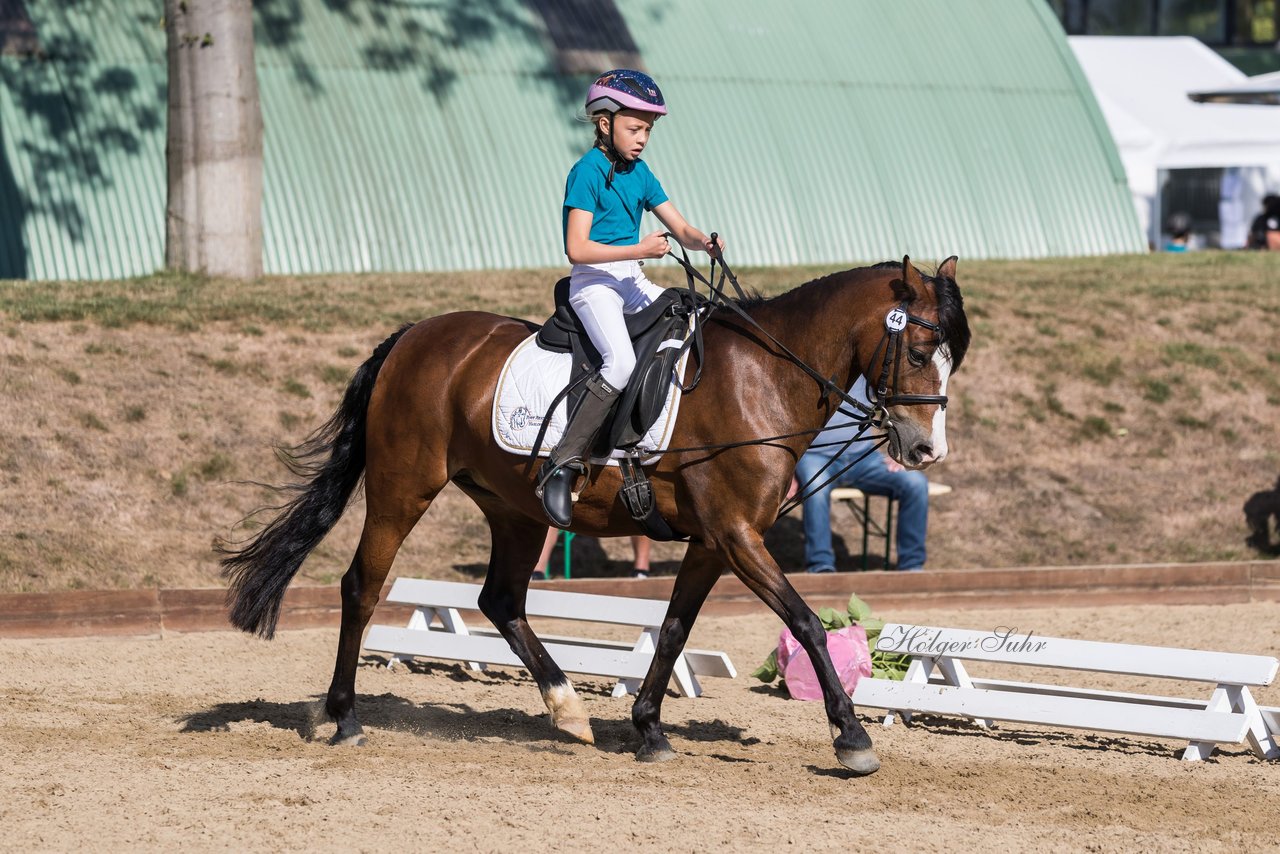 Bild 37 - Pony Akademie Turnier